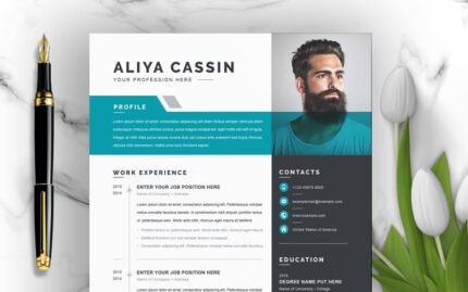 Aliya Resume Template