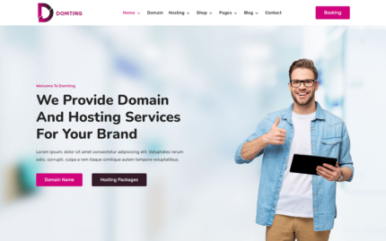 Domting - Domain and Hosting Provider Company and Agency HTML Website Template