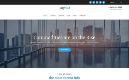 Hayford - Investment Consulting Services Responsive WordPress Theme